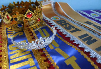 574862073_1384154903715881_5036196785312538040_n